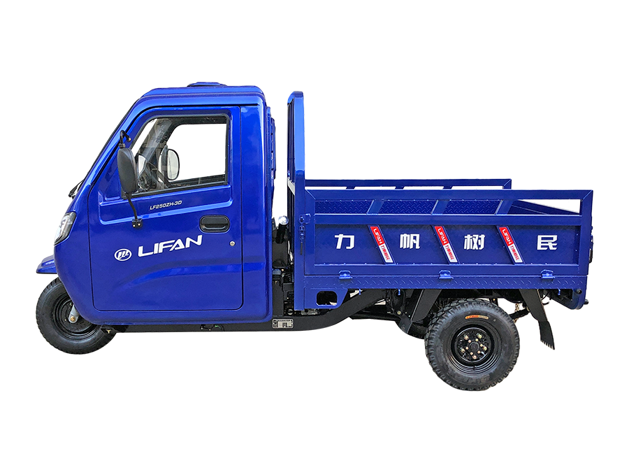 LF250-3D型（躍威）正三輪摩托車